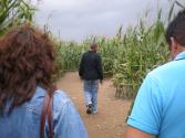 Lost in the Corn