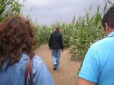 Lost in the Corn